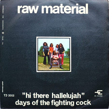 RAW MATERIAL - Hi There Hallelujah