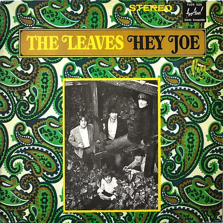 LEAVES - Hey Joe