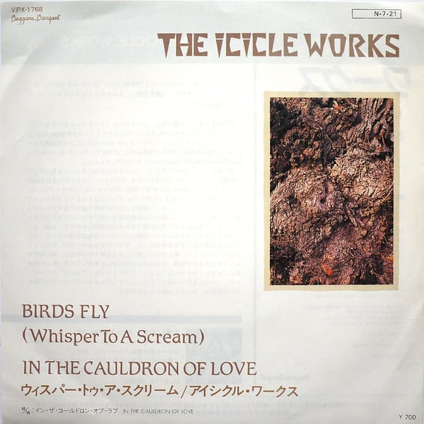 ICICLE WORKS - Birds Fly