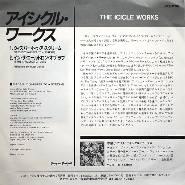 ICICLE WORKS - Birds Fly - Image 2