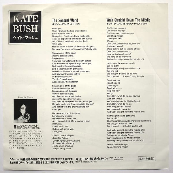KATE BUSH - The Sensual World (PROMO) - Image 2