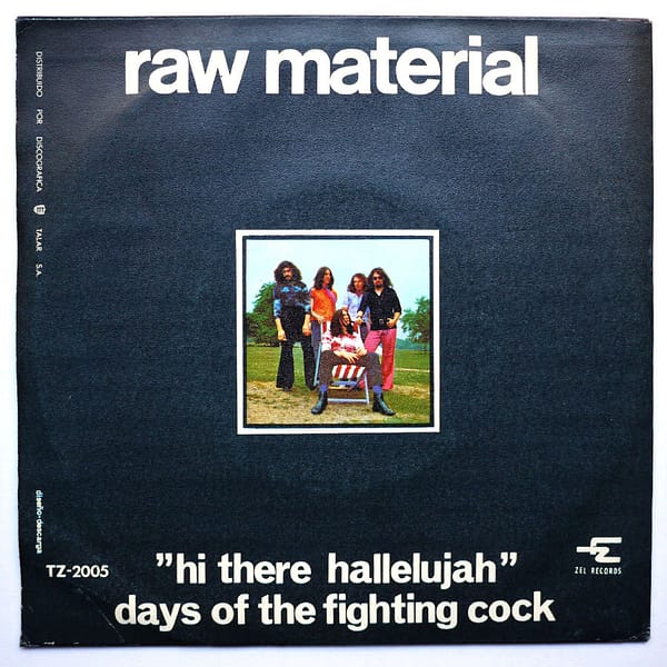RAW MATERIAL - Hi There Hallelujah - Image 2