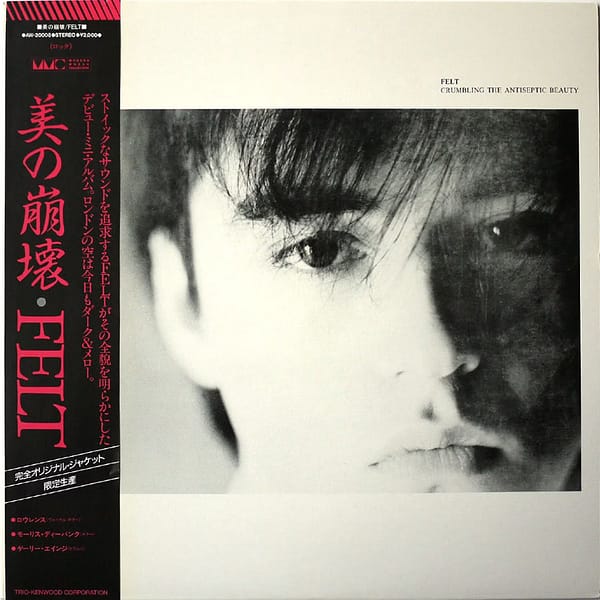 FELT - Crumbling The Antiseptic Beauty - Image 2