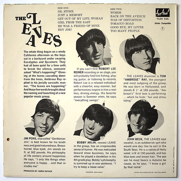 LEAVES - Hey Joe - Image 2