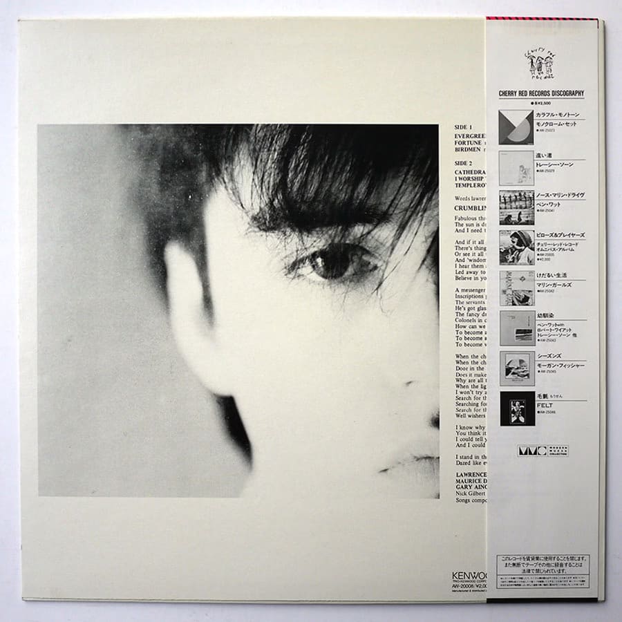 FELT - Crumbling The Antiseptic Beauty - Image 2