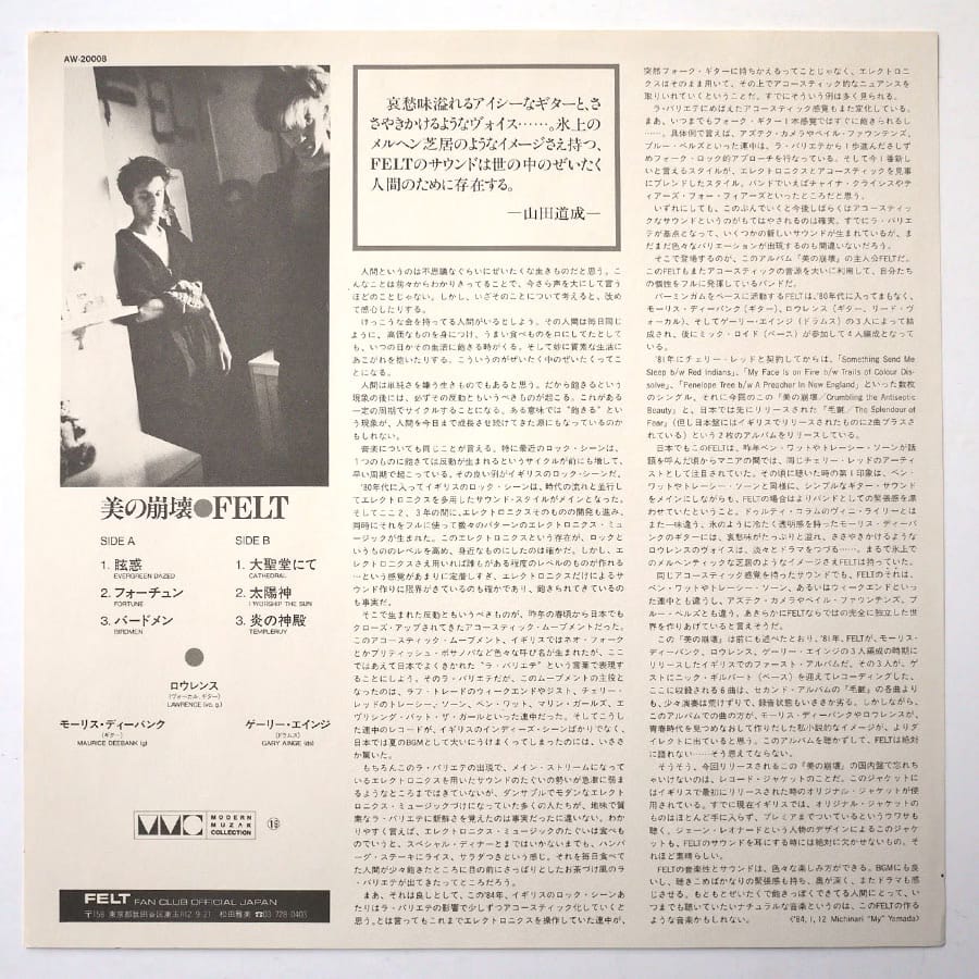 FELT - Crumbling The Antiseptic Beauty - Image 5