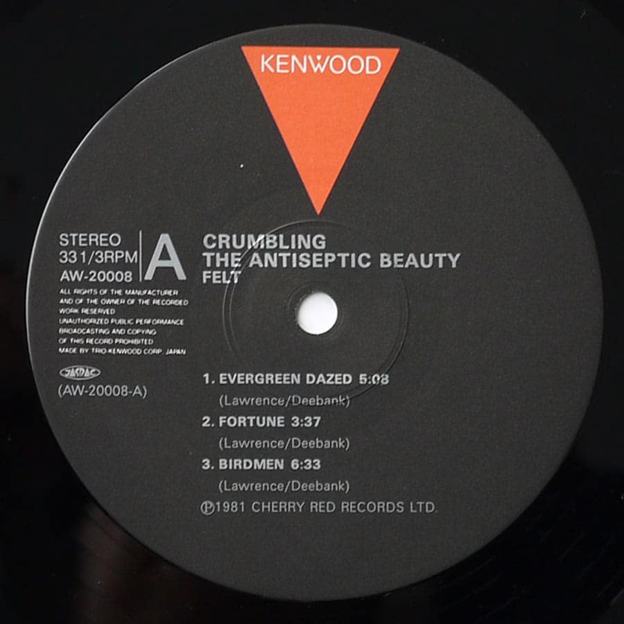 FELT - Crumbling The Antiseptic Beauty - Image 6