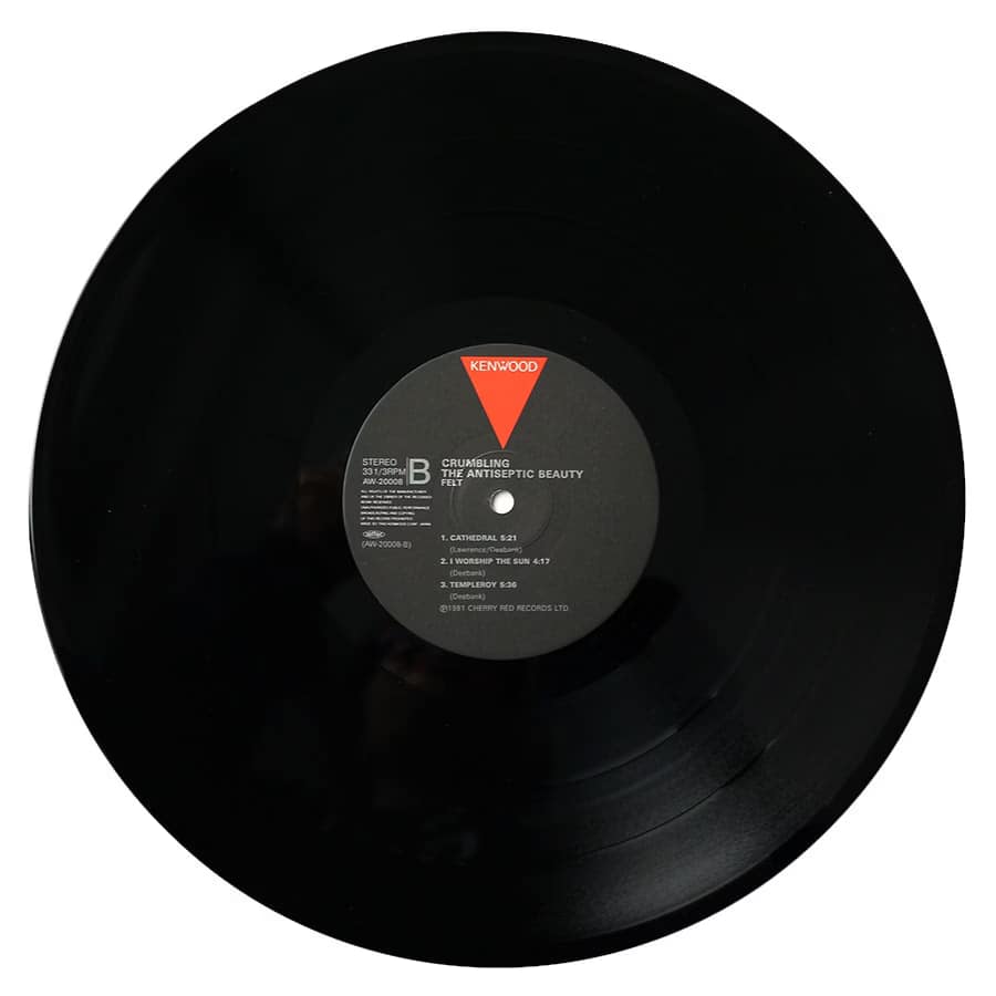 FELT - Crumbling The Antiseptic Beauty - Image 7