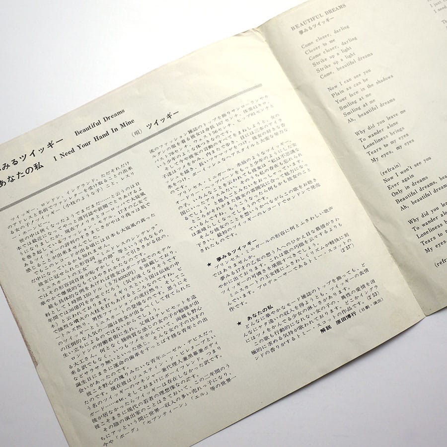 TWIGGY - Beautiful Dreams - Image 2