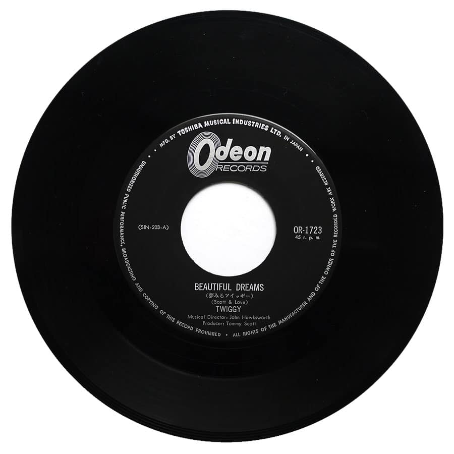 TWIGGY - Beautiful Dreams - Image 4