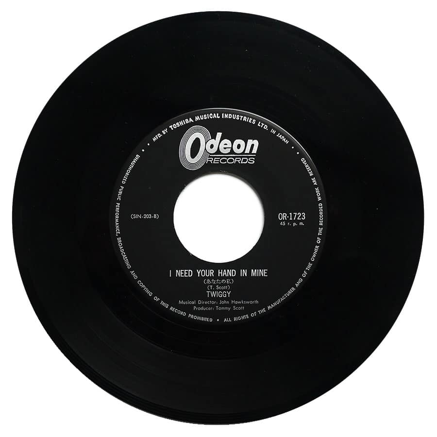 TWIGGY - Beautiful Dreams - Image 5