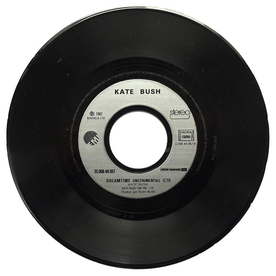 KATE BUSH - Suspended In Gaffa - Image 4