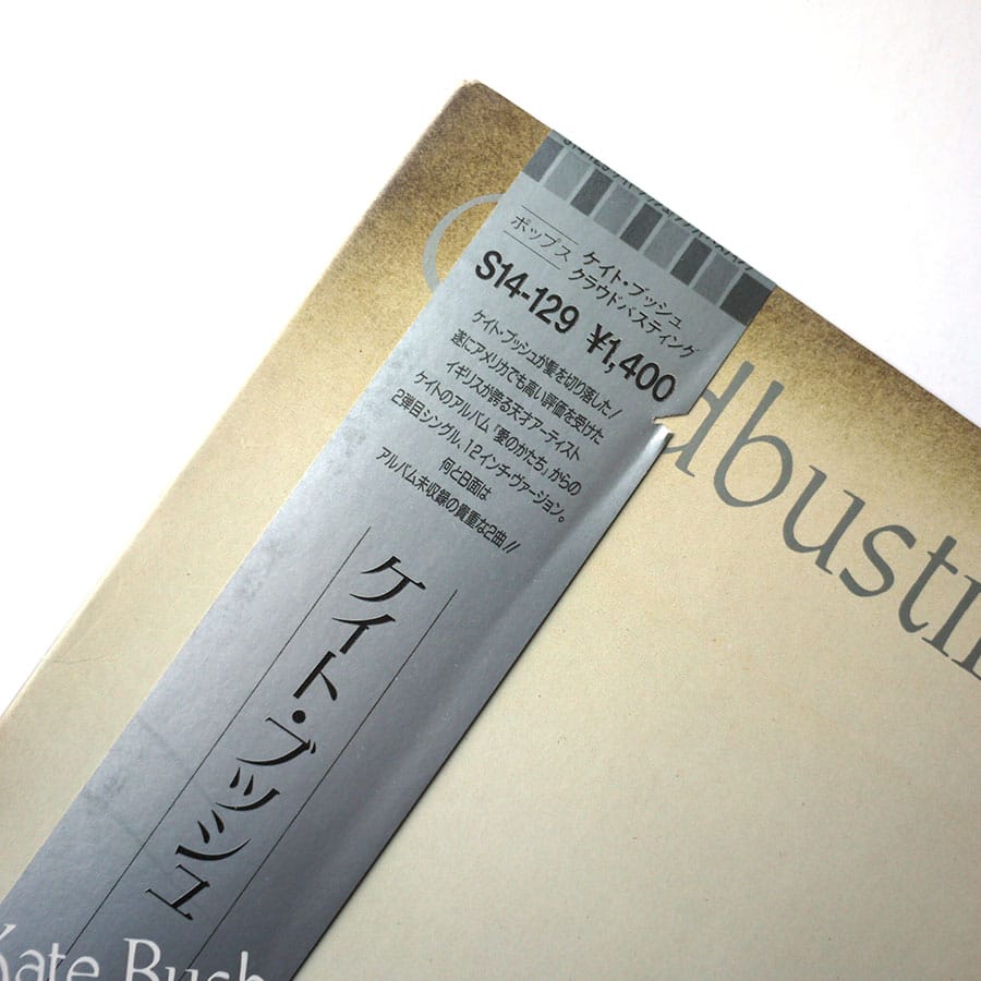 KATE BUSH - Cloudbusting - Image 2