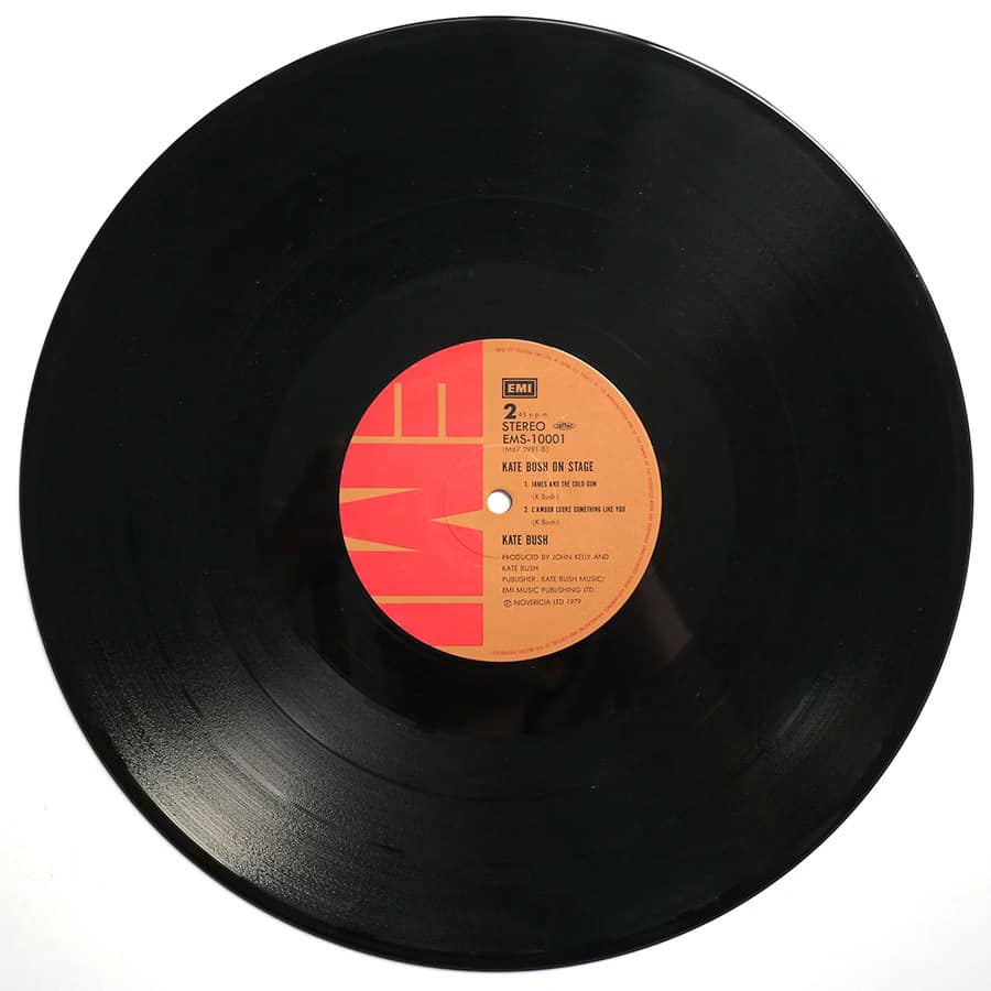 KATE BUSH - On Stage - Image 8