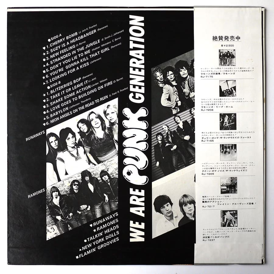 VARIOUS - We Are Punk Generation - Image 2