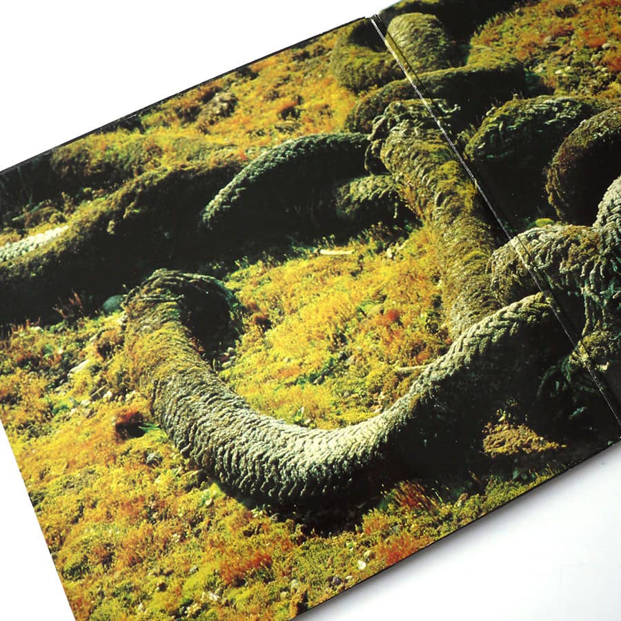 ART ZOYD - Phase IV - Image 3