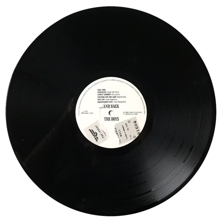 THE BOYS - To Hell With The Boys - Image 8