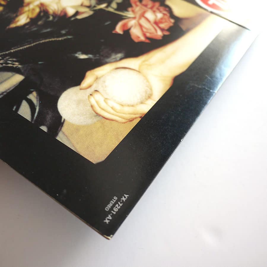 PUBLIC IMAGE LTD - The Flowers Of Romance - Image 4