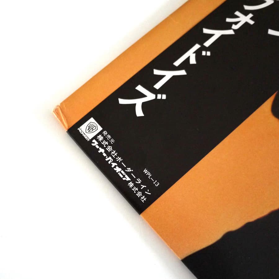 RICHARD HELL AND THE VOIDOIDS - Blank Generation - Image 3