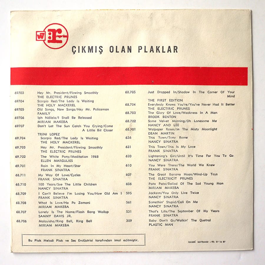 ELECTRIC PRUNES - Hey Mr. President - Image 2