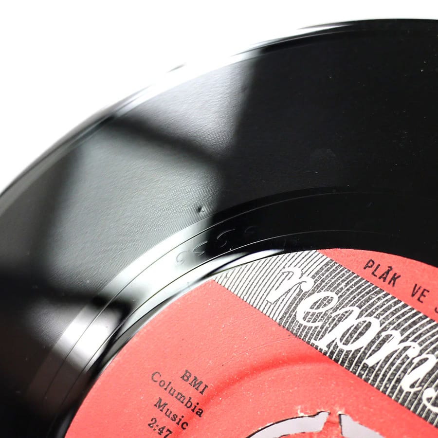 ELECTRIC PRUNES - Hey Mr. President - Image 5