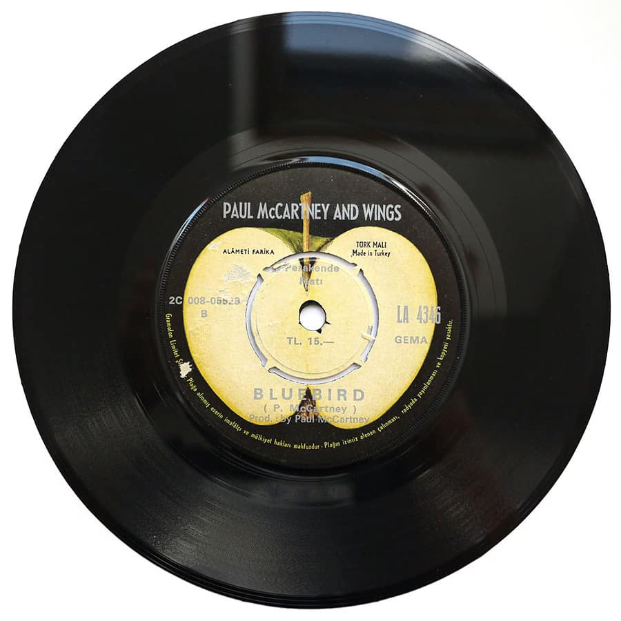 WINGS - Mrs. Vandebilt - Image 4