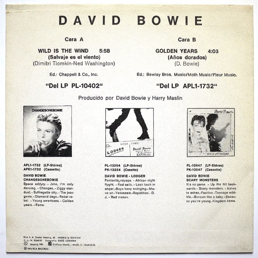 DAVID BOWIE – Wild Is The Wind (PROMO) - Image 2