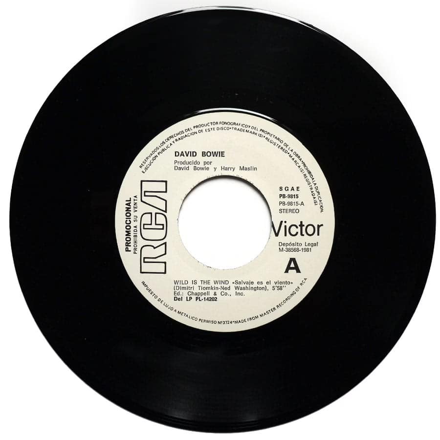 DAVID BOWIE – Wild Is The Wind (PROMO) - Image 3