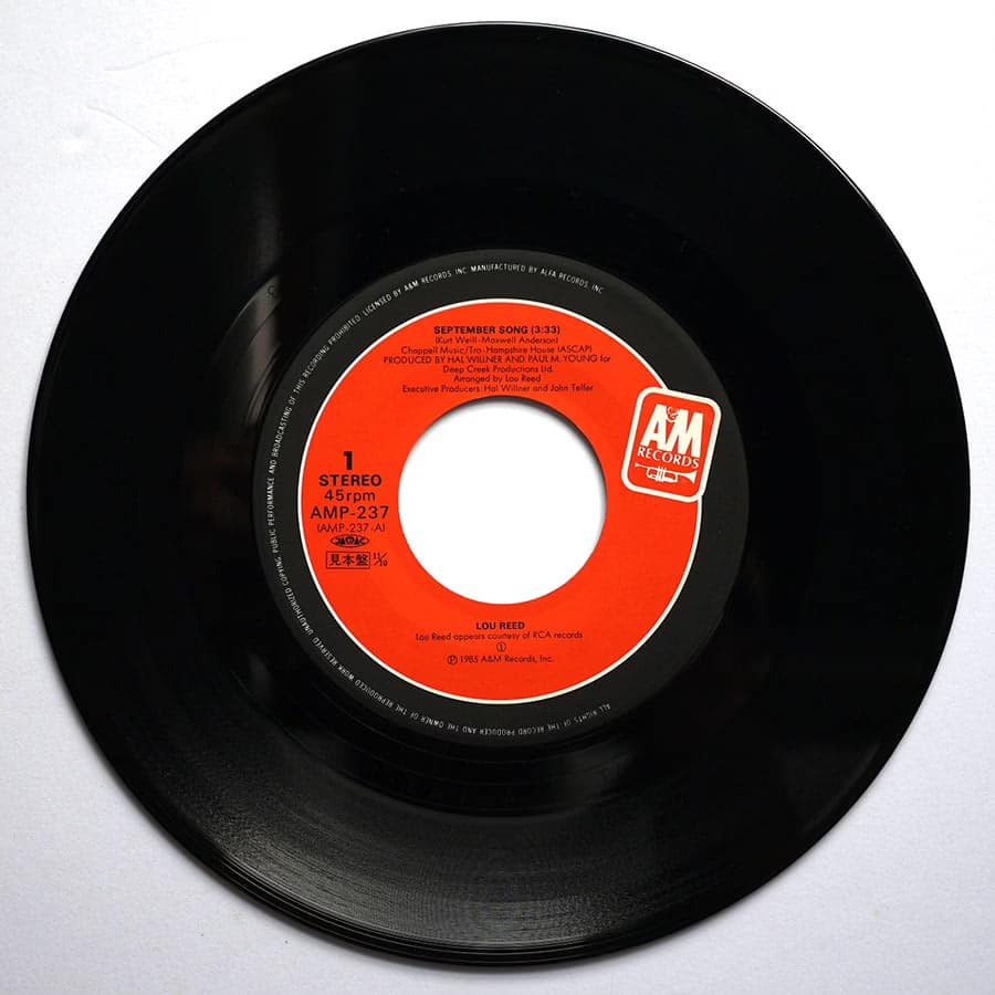 LOU REED - September Song (PROMO) - Image 6