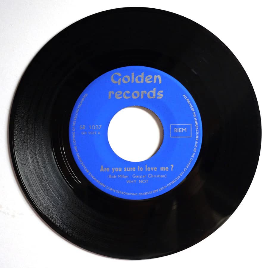 WHY NOT - Are You Sure To Love Me - Image 5