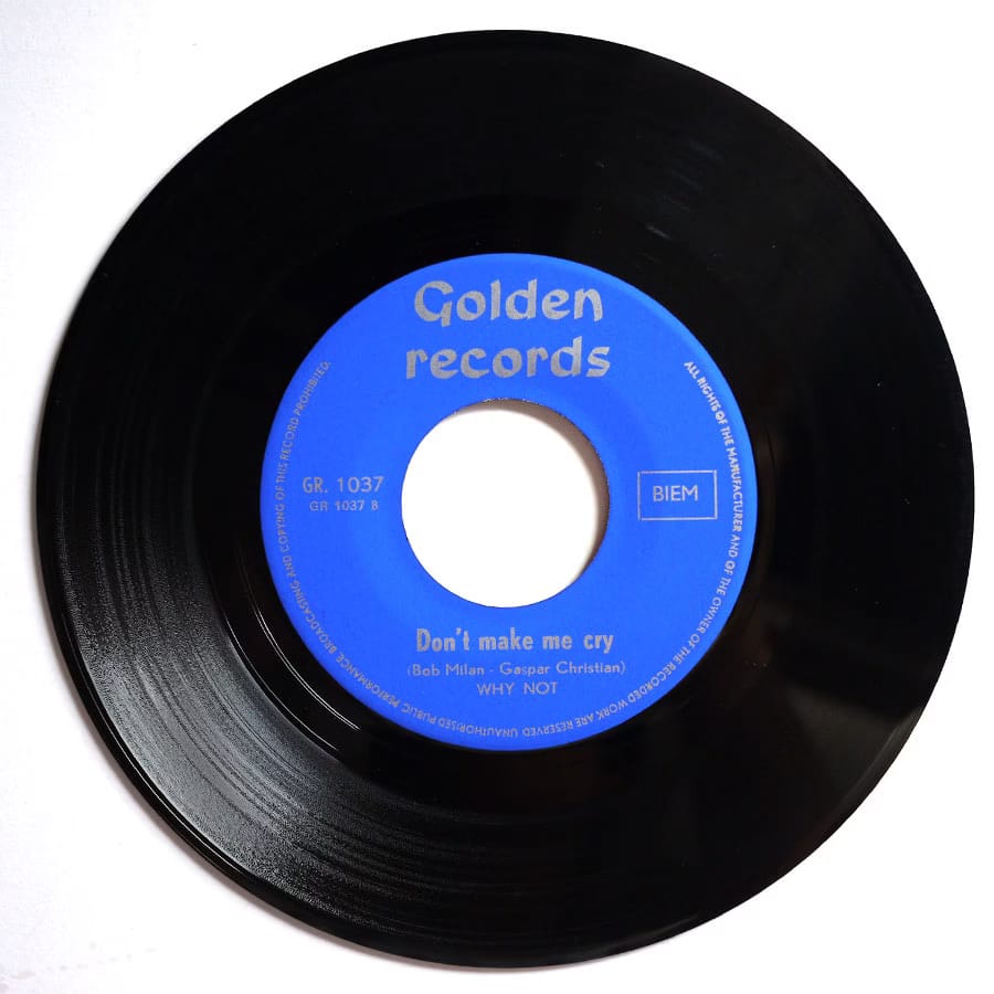 WHY NOT - Are You Sure To Love Me - Image 6