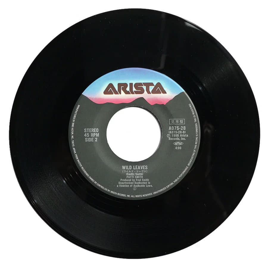 PATTI SMITH - People Have The Power (PROMO) - Image 5