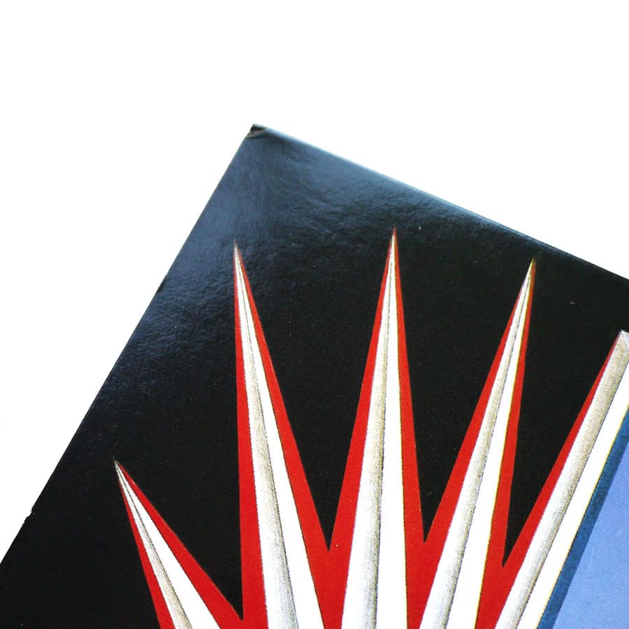 IGGY POP - Instinct (PROMO) - Image 5