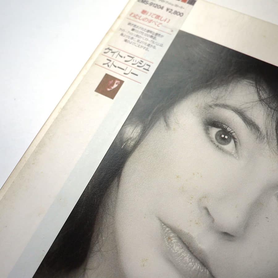 KATE BUSH - The Whole Story (PROMO) - Image 2