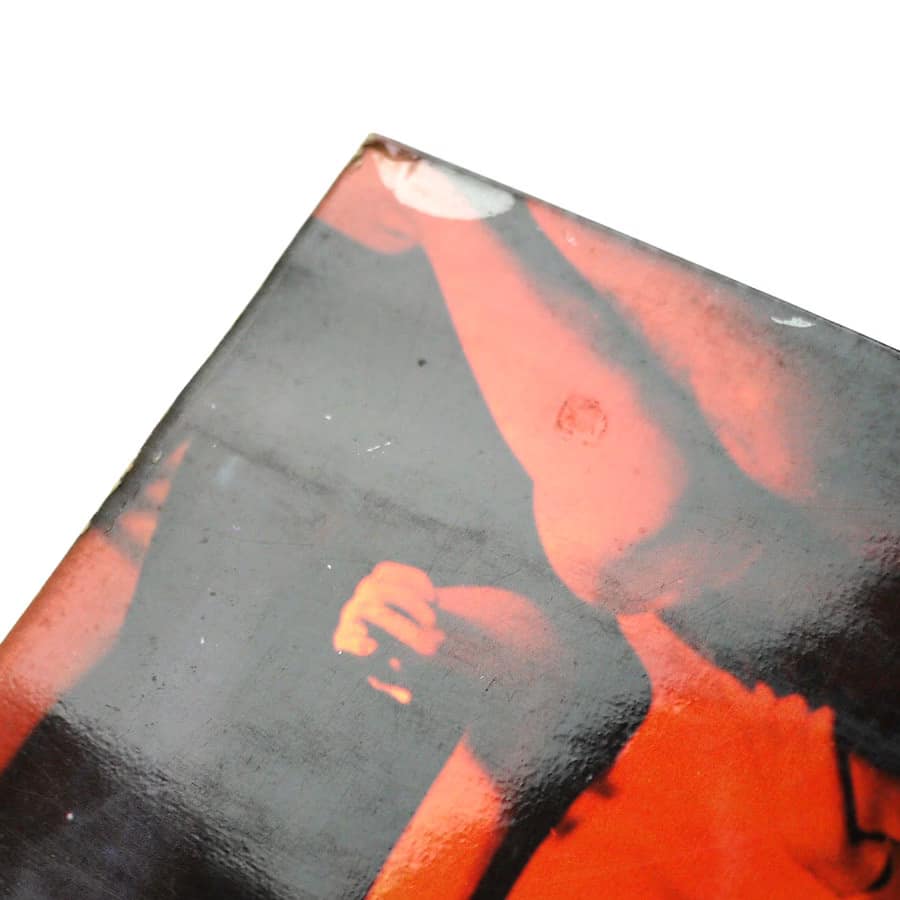 ECLECTION - Eclection - Image 4