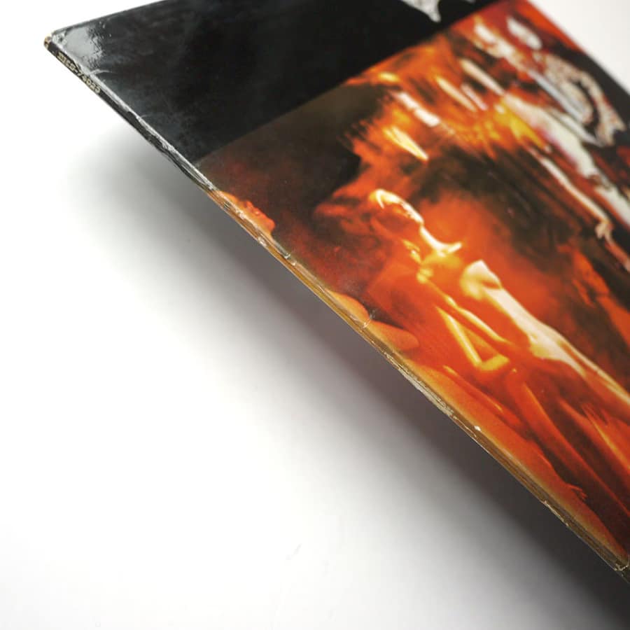 ECLECTION - Eclection - Image 6