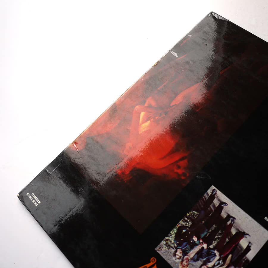 ECLECTION - Eclection - Image 5