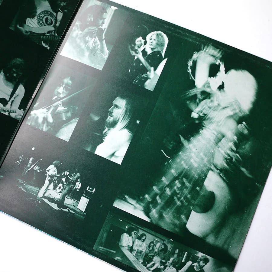 HEDGEHOG PIE - The Green Lady - Image 9