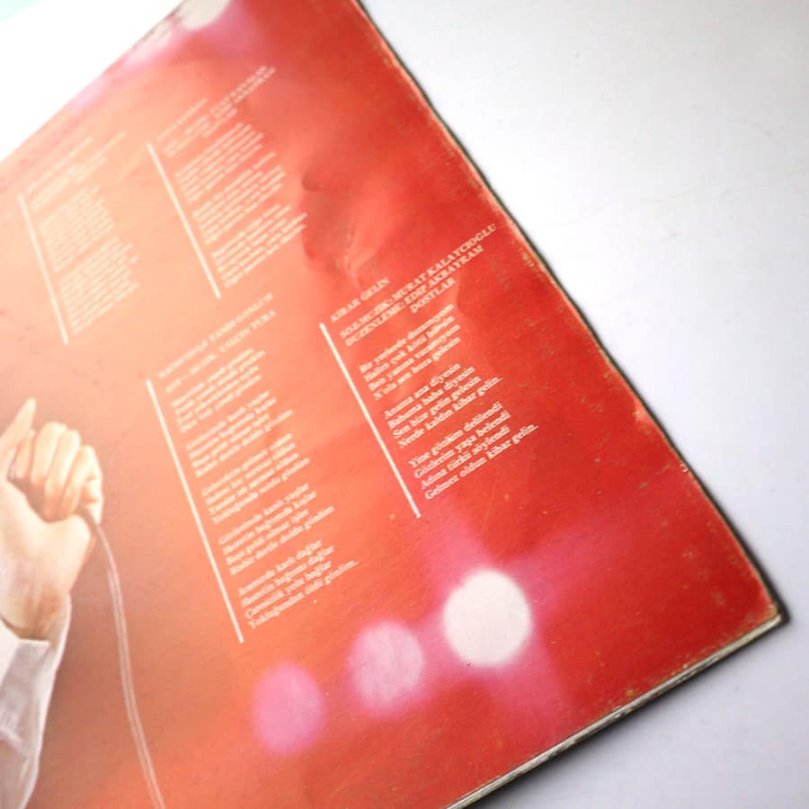 EDIP AKBAYRAM, DOSTLAR - Nice Yıllara Gülüm - Image 9