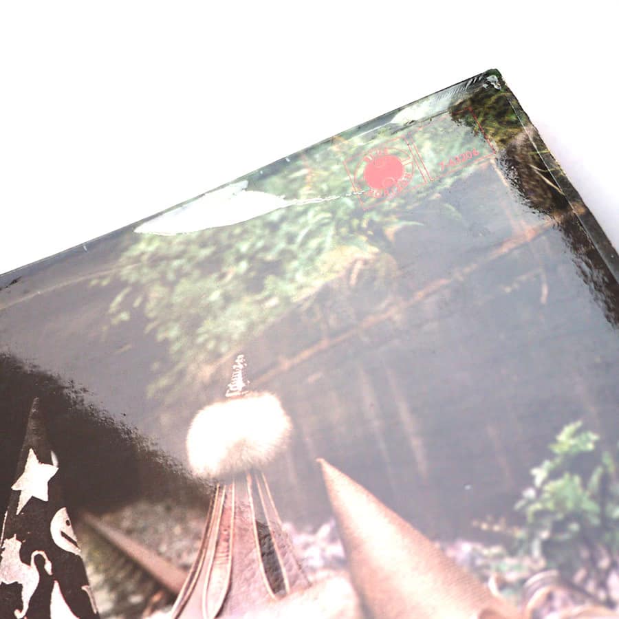 CHAMPION JACK DUPREE - When You Feel The Feeling You Was Feeling - Image 6