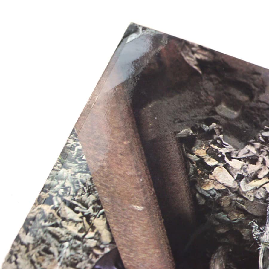 CHAMPION JACK DUPREE - When You Feel The Feeling You Was Feeling - Image 8