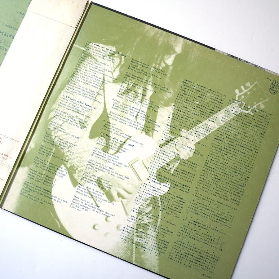 STRAWBERRY PATH - When The Raven Has Come To The Earth - Image 7