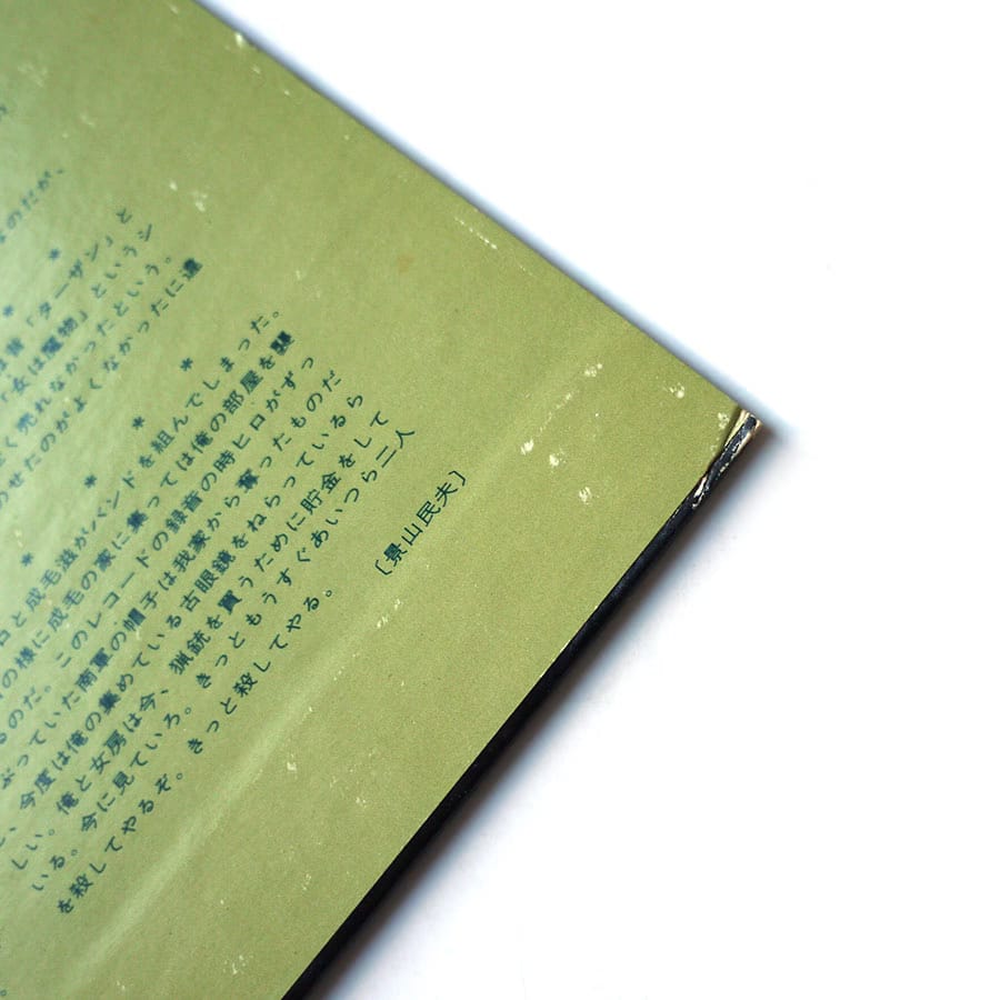 STRAWBERRY PATH - When The Raven Has Come To The Earth - Image 8