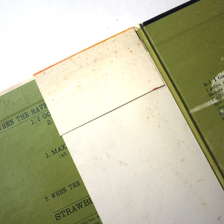 STRAWBERRY PATH - When The Raven Has Come To The Earth - Image 9