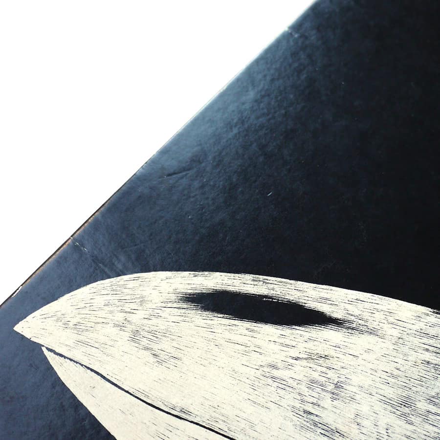 STRAWBERRY PATH - When The Raven Has Come To The Earth - Image 11