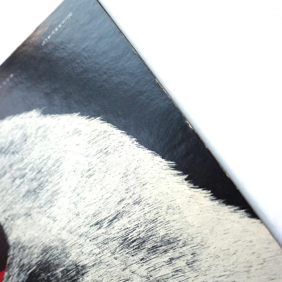 STRAWBERRY PATH - When The Raven Has Come To The Earth - Image 12