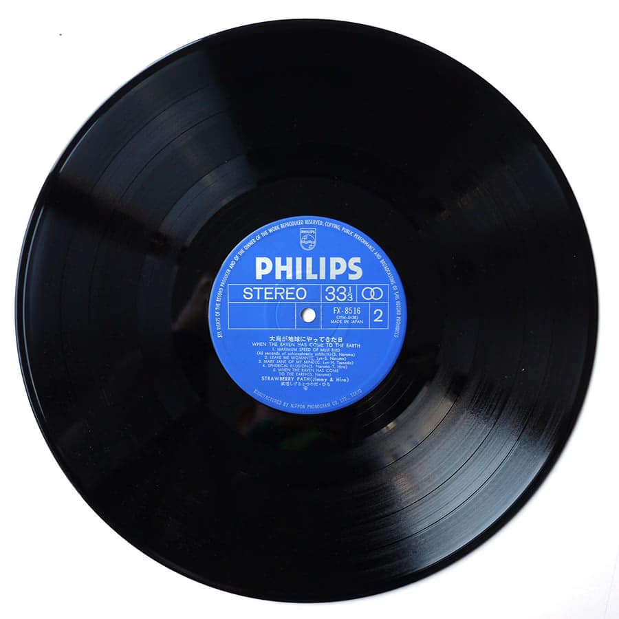 STRAWBERRY PATH - When The Raven Has Come To The Earth - Image 14