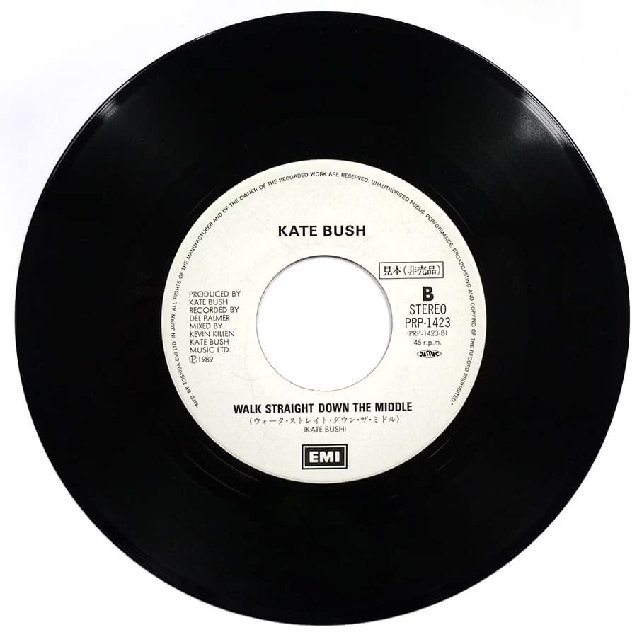 KATE BUSH - The Sensual World (PROMO) - Image 6