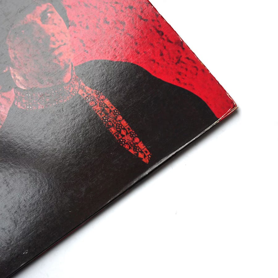 HUMAN BEINZ - Nobody But Me - Image 3