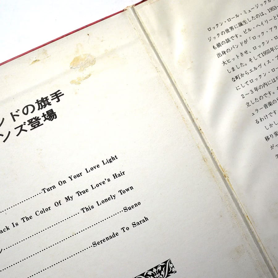 HUMAN BEINZ - Nobody But Me - Image 10